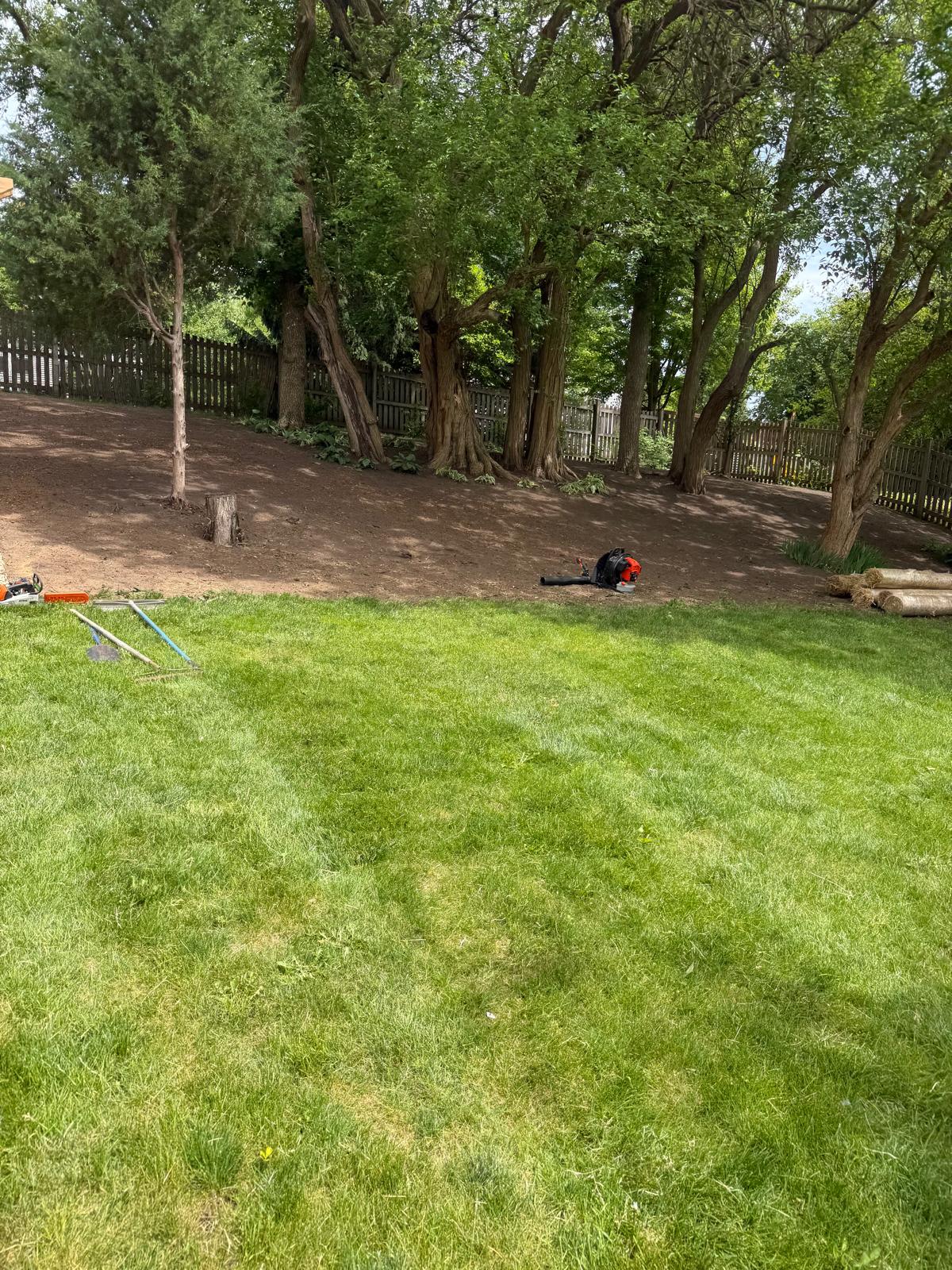 Routine Lawn & Property Maintenance